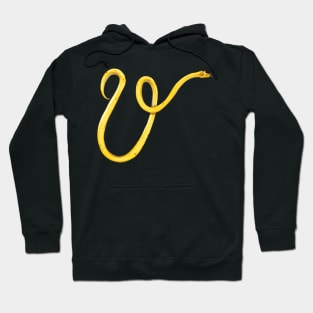 V - Eyelash palm pit viper Hoodie